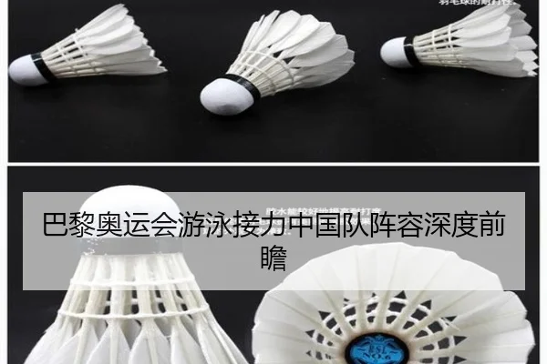 巴黎奥运会游泳接力中国队阵容深度前瞻